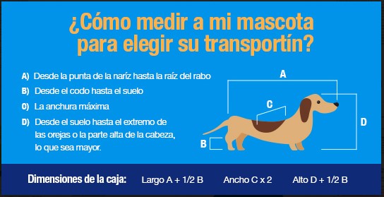 Come misurare il mio animale domestico per scegliere il trasportino?